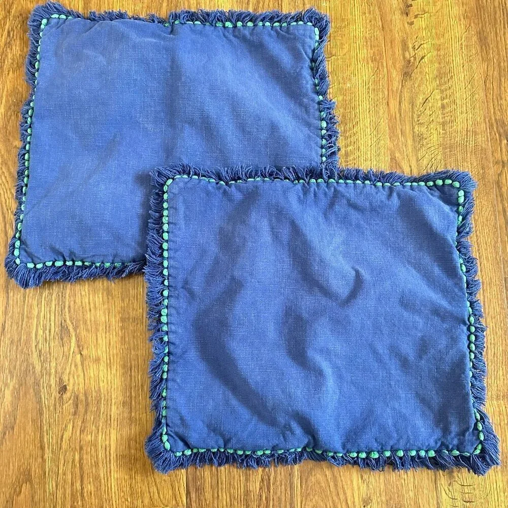 Pottery Barn set of 2 pillow covers